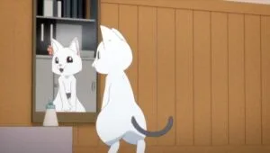 Ramen Akaneko ราเม็งอากาเนโกะ ตอนที่ 10 ซับไทย